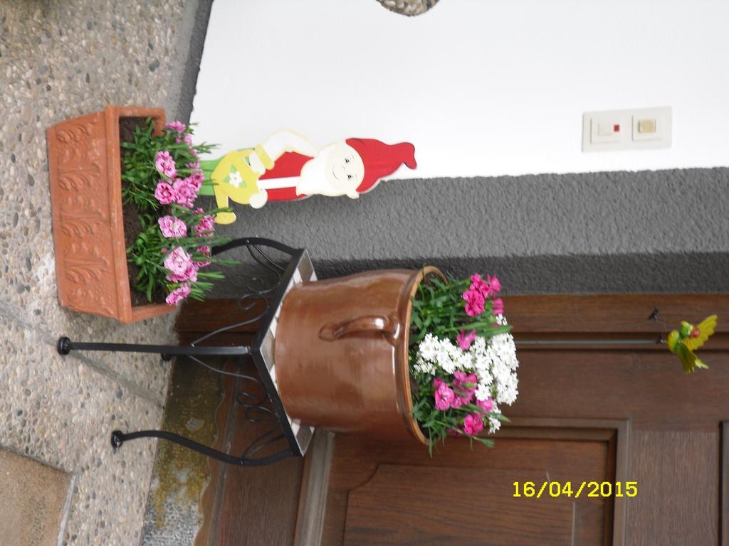 Vorderwiesgut Altenmarkt im Pongau Dış mekan fotoğraf