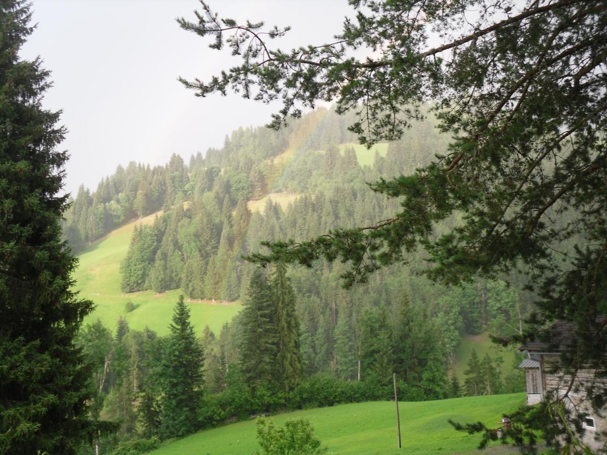 Vorderwiesgut Altenmarkt im Pongau Dış mekan fotoğraf